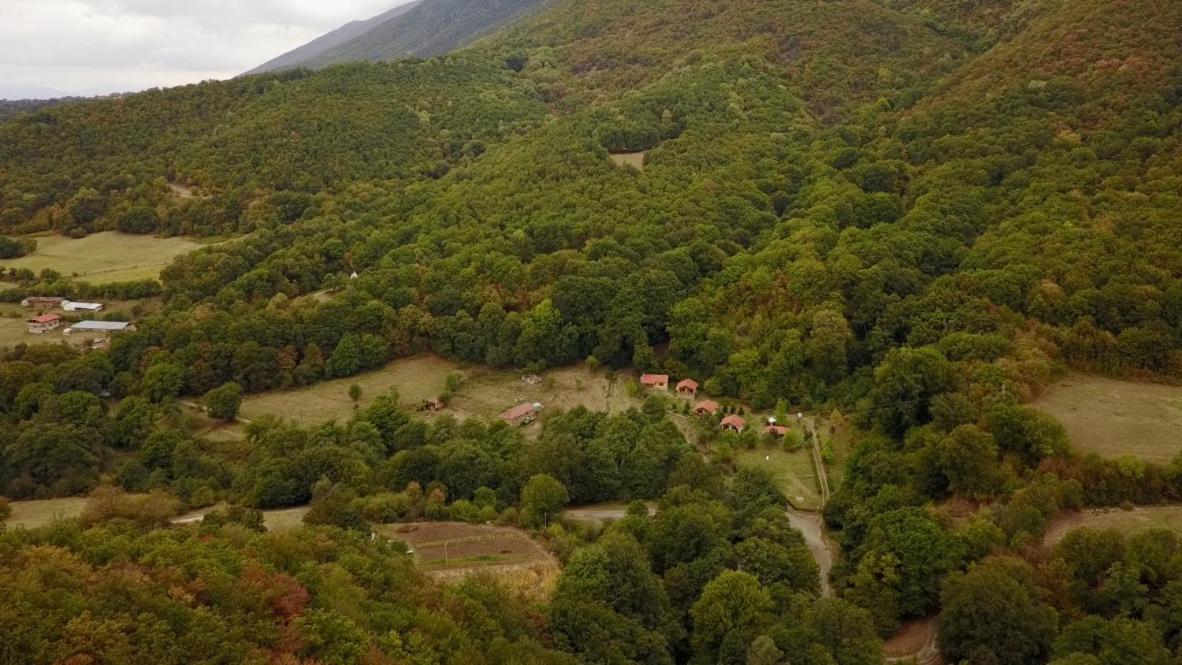 дара * Kalofer